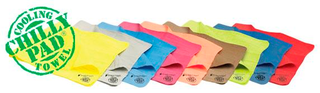 Illustration for article titled Anyone Ever Used a Cooling Towel?